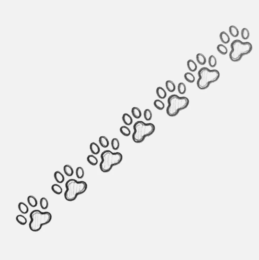 Huellitas de Perrito sobre la