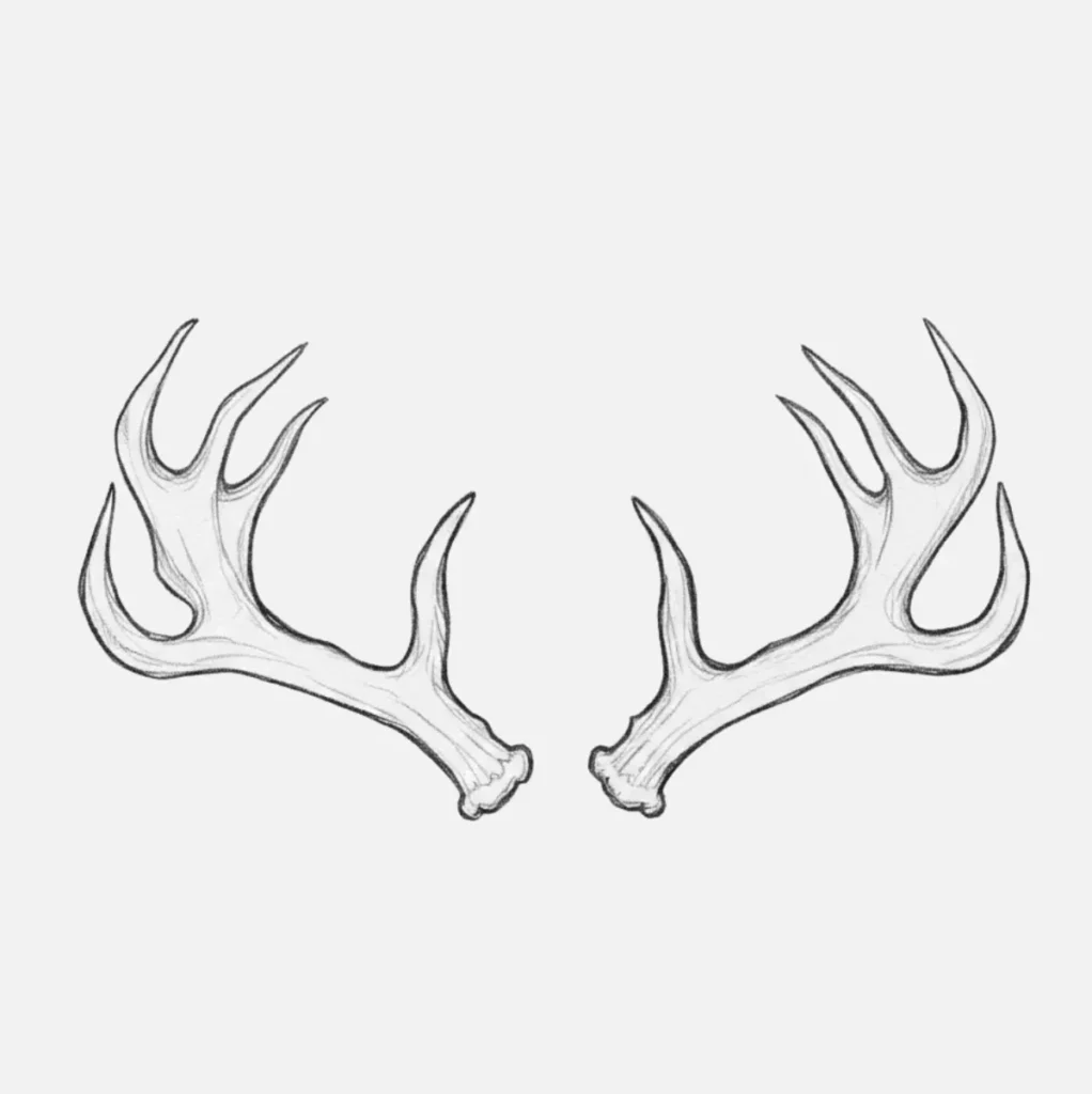 Ideas de Venado Dibujo Fácil y Bonito 23 Cuernos de Venado Dibujo