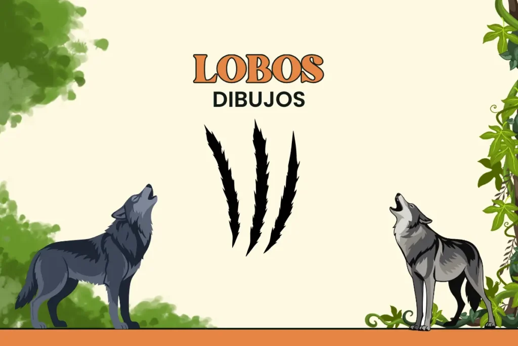Dibujos de Lobos