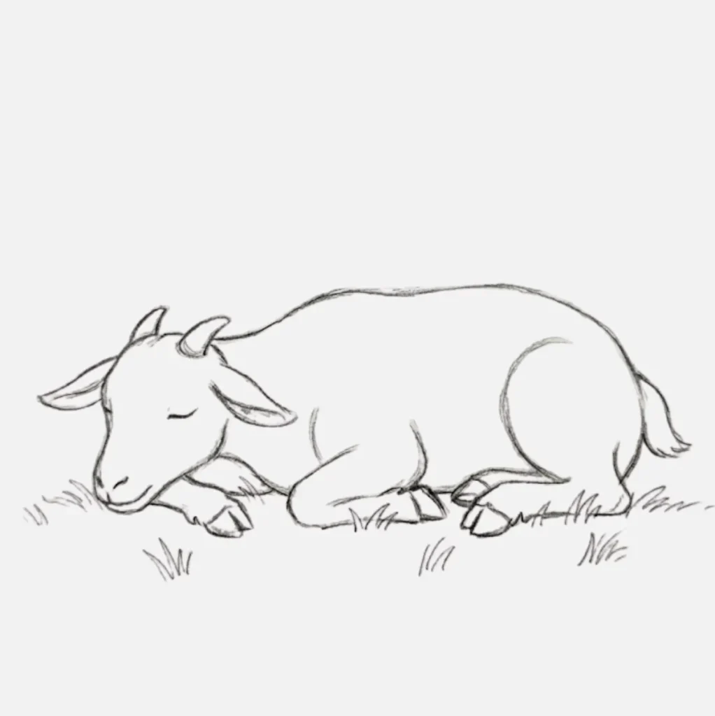 Cabra acostada descansando