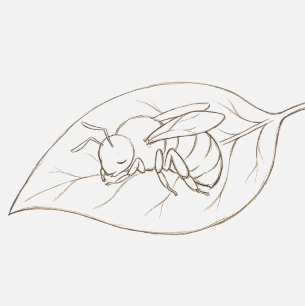 Abeja Dibujo Facil: 21+ Ideas Bonitas y Súper Simples 10 Abeja durmiendo sobre una hoja