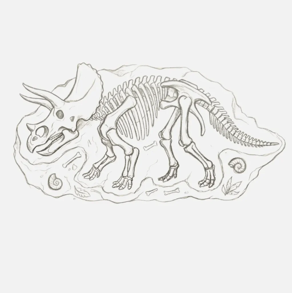 Fósil de dinosaurio dibujo